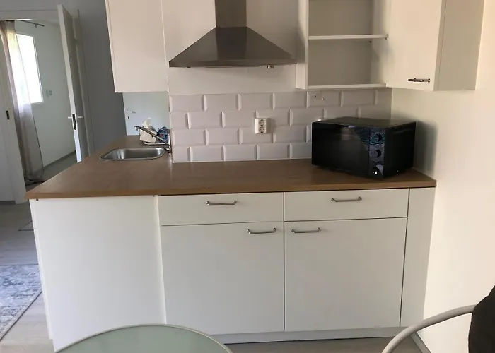 Viihtyisae Kalustettu Kaksio, Joka On Juuri Uusittu, Omakotitalon Alakerrassa Omalla Sisaeaenkaeynnillae