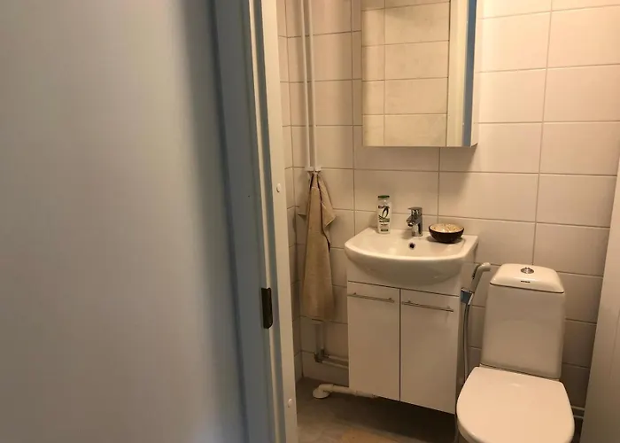 Viihtyisae Kalustettu Kaksio, Joka On Juuri Uusittu, Omakotitalon Alakerrassa Omalla Sisaeaenkaeynnillae